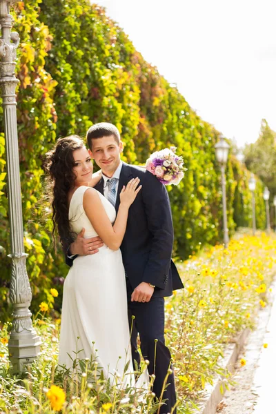 公園で幸せな新婚夫婦. — ストック写真