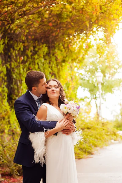 Happy newlyweds in park. — Stock Photo, Image