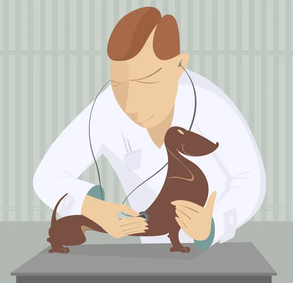 Tierarzt — Stockvektor