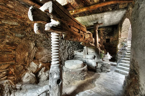 eski zeytin Kompaktör