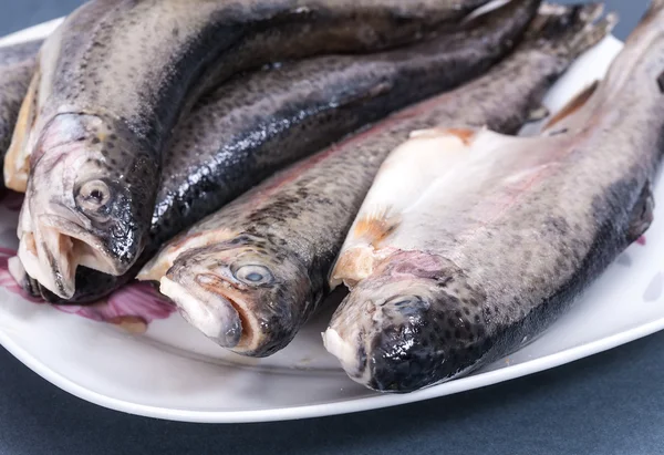 Fresh trout on a plate — Stock Photo, Image