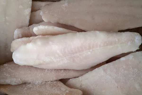 Ледяная рыба — стоковое фото