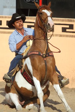 Meksikalı charros Süvari oturma ata, tx, bize