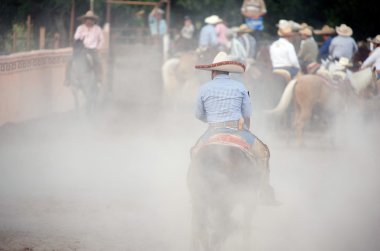 Meksikalı charros atlı tx, toz bulutu içinde bizi