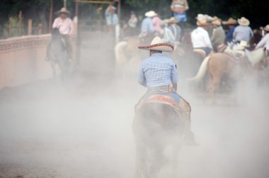 Mexican charros horsemen in cloud of dust, TX, US clipart
