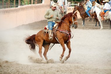 Meksikalı charros Süvari üzerinde sıçrayan at, tx, bize