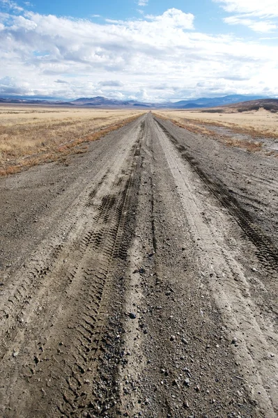 ネバダ州、未来へのパスのような地平線に伸びる道私たち — ストック写真