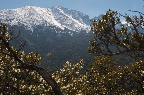 Great Basin National Park, Nevada, US — Stock Photo, Image