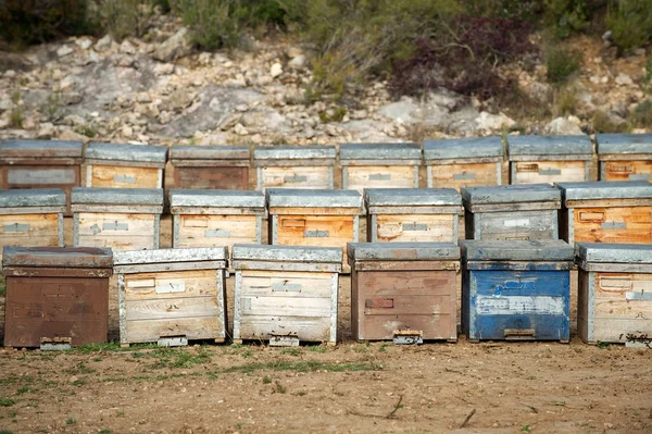 Beehives (wooden), Spain — Stock Photo, Image