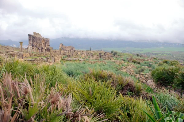 Volubilis, N 모로코의 개선 아치 및 일반 보기 — 스톡 사진