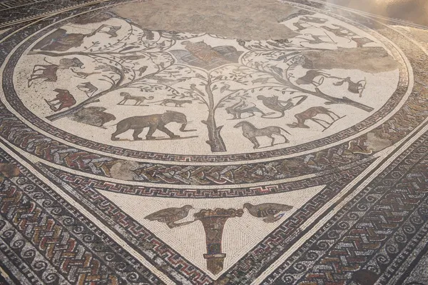 Římská mozaika mramor v volubilis, n Maroko Stock Snímky