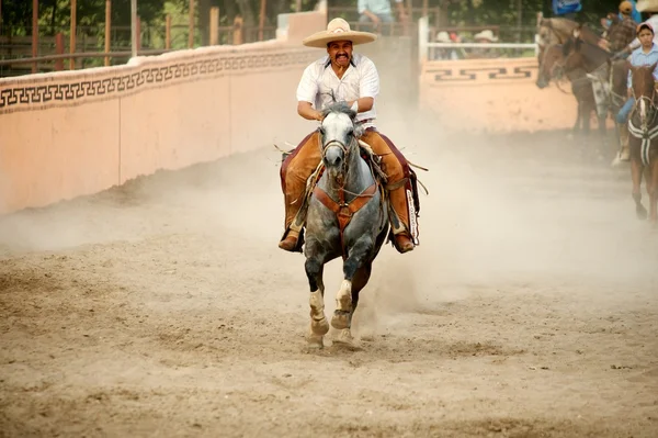 Cavaliere messicano charros al galoppo sul ring, TX, Stati Uniti Fotografia Stock