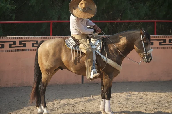 Cavaliere messicano charros, San Antonio, TX, Stati Uniti Foto Stock Royalty Free