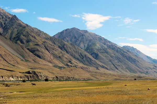 Kirgizië - regio van Midden tien shan — Stockfoto