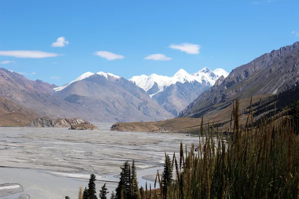 Kirguistán - Región central de Tien Shan — Foto de Stock