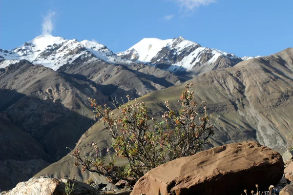 Kirgizië - regio van Midden tien shan — Stockfoto