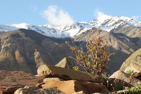 Kirguistán - Región central de Tien Shan — Foto de Stock