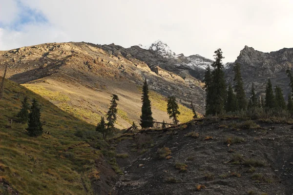 Kırgızistan - iç tien shan bölgesi — Stok fotoğraf