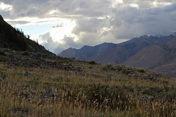 Kyrgyzstán - Ťan Šan region střední — Stock fotografie