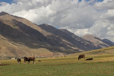 Kırgızistan - iç tien shan bölgesi