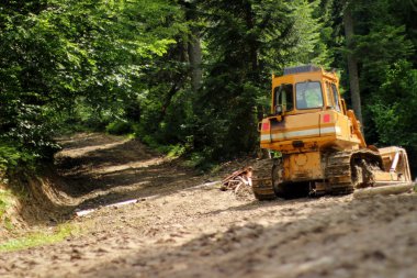 ormandaki sarı buldozer