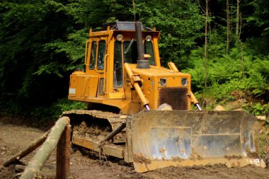 ormandaki sarı buldozer