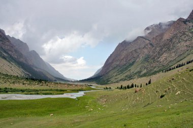 ashukashka suu Vadisi, tien Tanrı Dağları, Kırgızistan