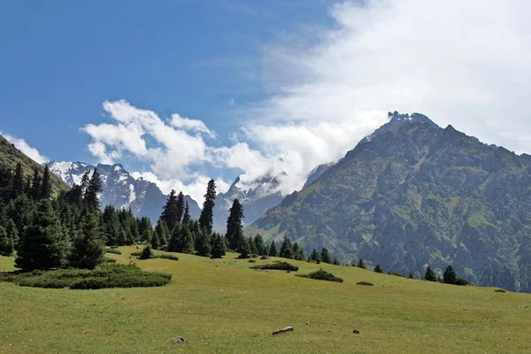 Ashukashka suu doliny, góry tien shan, Kirgistan — Zdjęcie stockowe