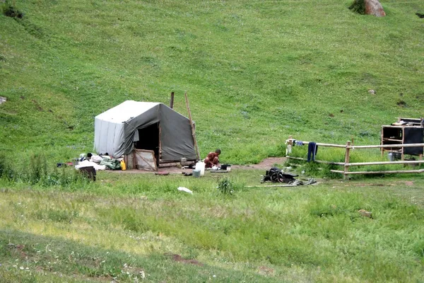 Yurt camp in central Asia — Stock Photo, Image