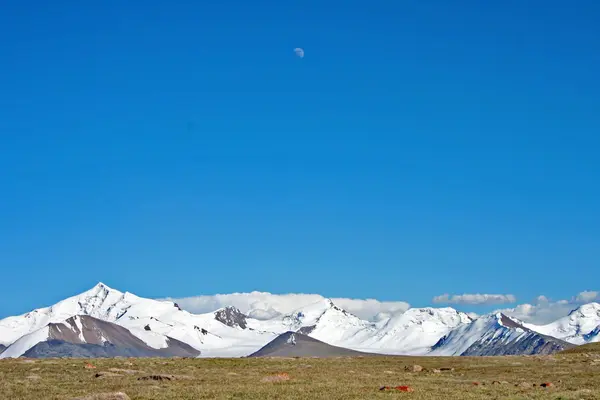 Tien-Shan mountains, Kyrgyzstan — Stock Photo, Image