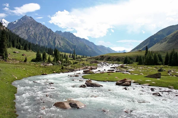 Ashukashka suu Vadisi, tien Tanrı Dağları, Kırgızistan — Stok fotoğraf