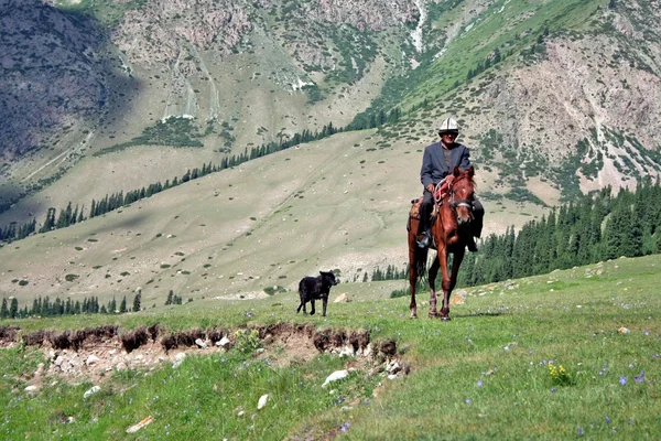 Kyrgyz horseman in Tien Shan mountains — Stock Photo, Image