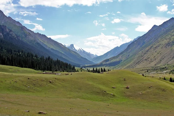 Долина Джуку, Тянь-Шань, Кыргызстан — стоковое фото