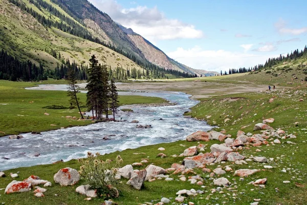 Fiume nella valle di Dzhuku, monti Tien Shan, Kirghizistan — Foto Stock