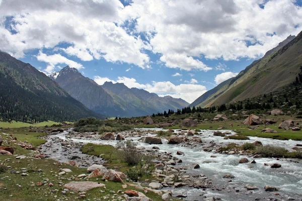 Rio em Dzhuku Valley, Tien Shan montanhas, Quirguistão — Fotografia de Stock