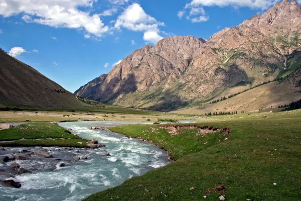 Река в долине Джуку, Тянь-Шань, Кыргызстан — стоковое фото