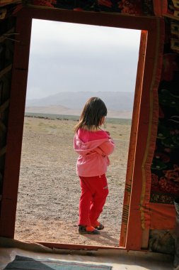 Yurt kampı, Moğolistan