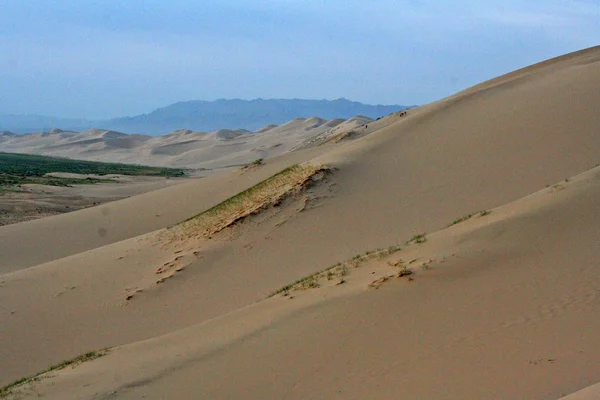 Dünenwüste - Mongolei — Stockfoto