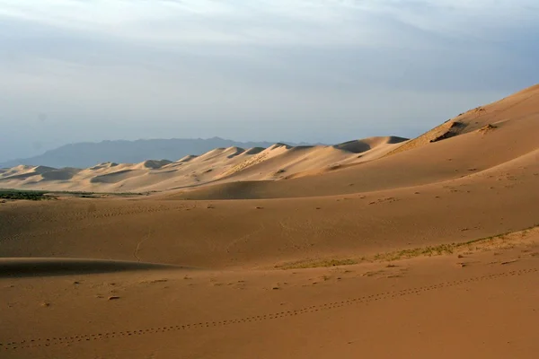 Dünenwüste - Mongolei — Stockfoto