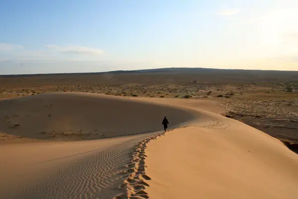 Desierto de dunas - mongolia — Foto de Stock