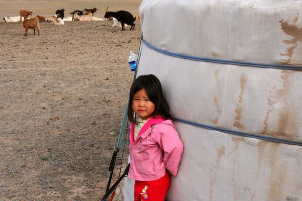 Yurt camp, Mongolia — Stock Photo, Image