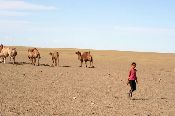 Mongoolse landschap — Stockfoto