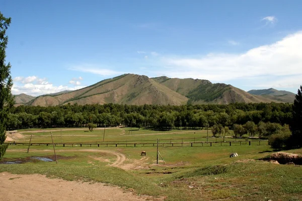 Gorhi-terelj Milli Parkı - Moğolistan — Stok fotoğraf