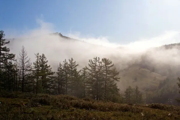 Gorhi-terelj nationalpark - Mongoliet — Stockfoto