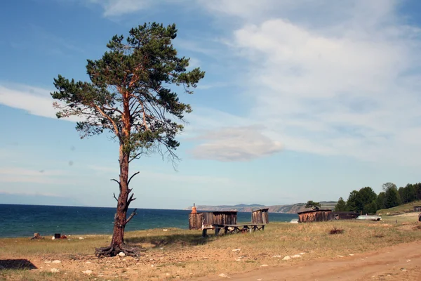 Ön olkhon, Bajkalsjön, Sibirien, Ryssland — Stockfoto