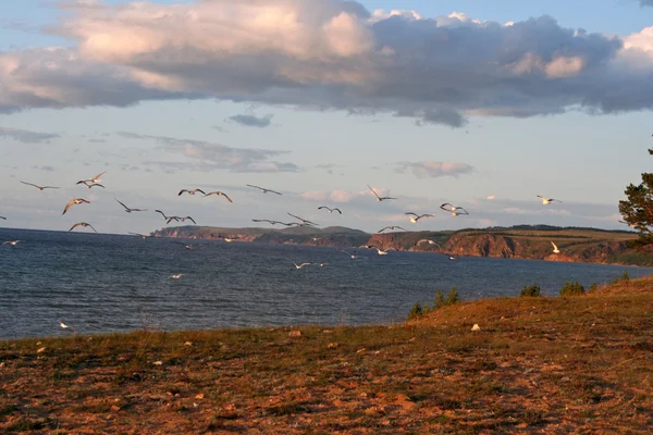 Pulau Olkhon, Danau Baikal, Siberia, Rusia — Stok Foto