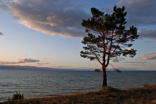 Ön olkhon, Bajkalsjön, Sibirien, Ryssland — Stockfoto