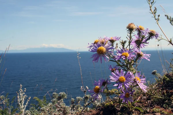 Ön olkhon, Bajkalsjön, Sibirien, Ryssland — Stockfoto