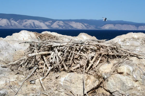 Insel Belynki, Baikalsee, Sibirien, Russland — Stockfoto