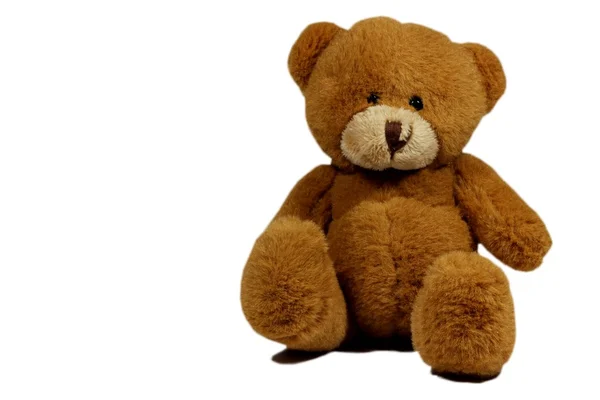 Brauner Teddybär isoliert auf weißem Grund — Stockfoto